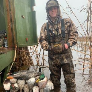 Meet your Posher, Stone